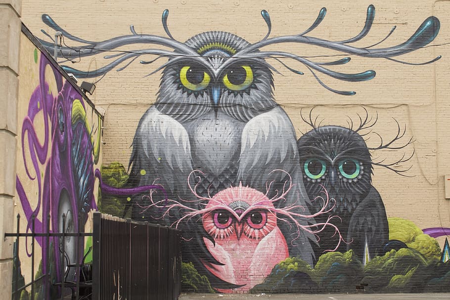 three, multicolored, owl wall art, blue, pink, purple owl, graffiti, background, wall art, urban