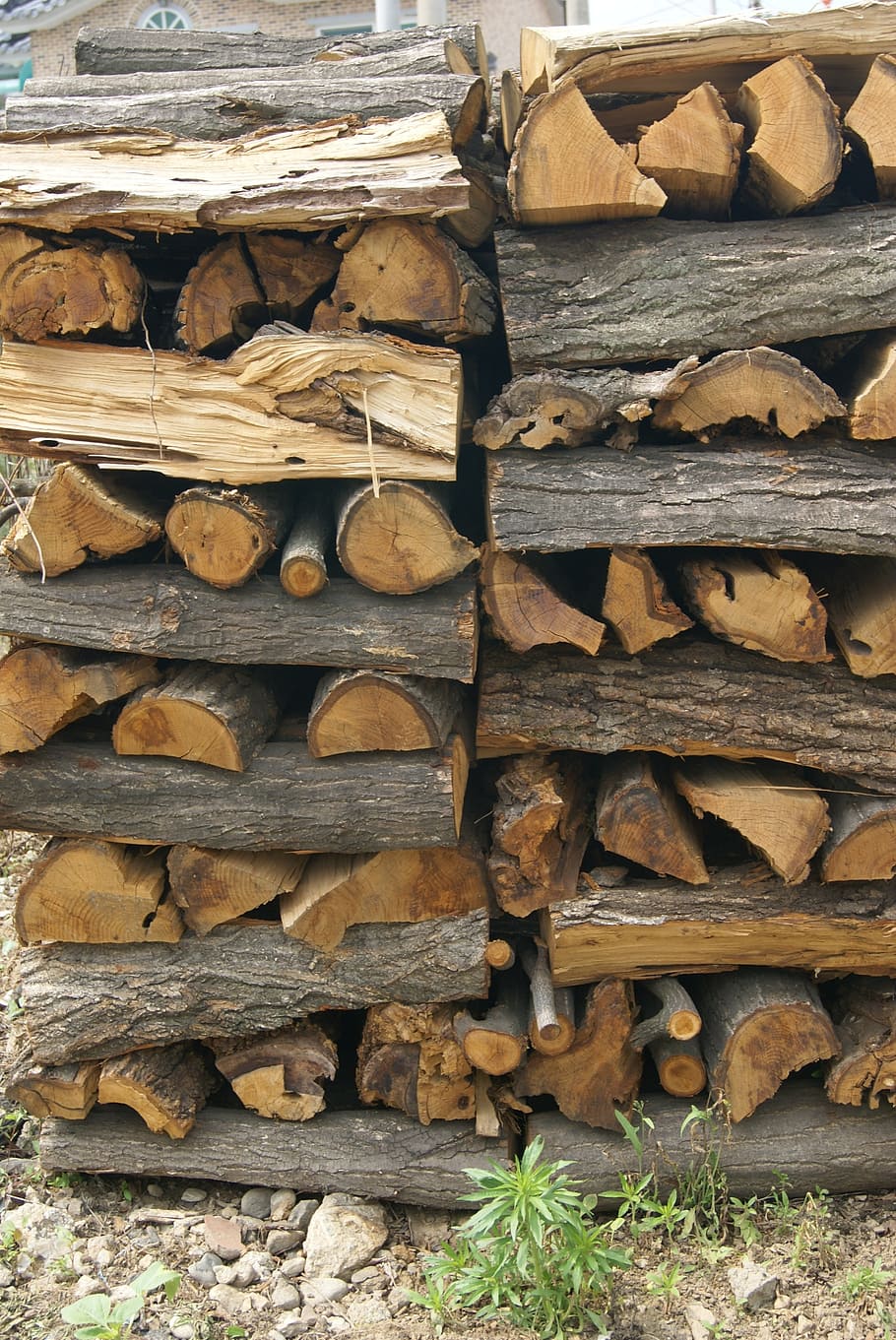 madeira, lenha, também claramente, tronco, material de madeira, indústria da madeira serrada, árvore, pilha, floresta, abundância