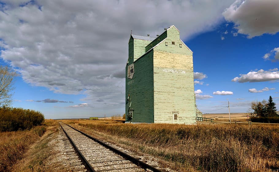 Elevador de grãos, Alberta, edifício verde, céu, nuvem - céu, arquitetura, transporte ferroviário, planta, natureza, estrutura construída