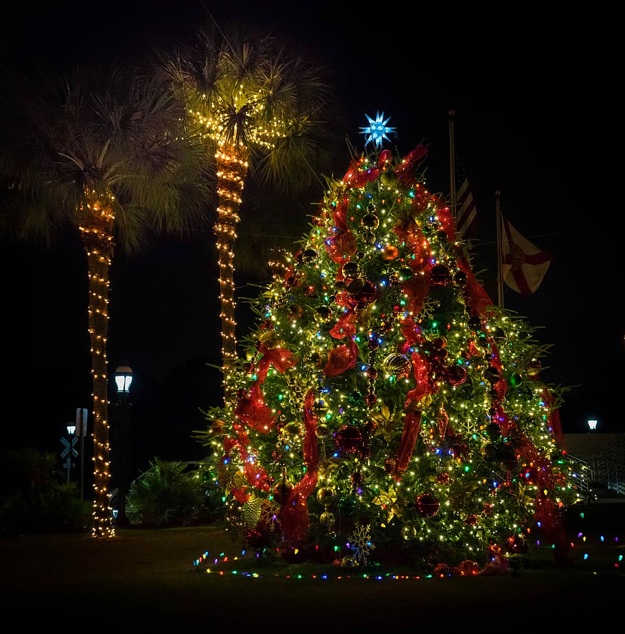 night sky, Christmas Tree, christmas decorations, florida, neon, colorful, decorative, ornament, winter, holiday
