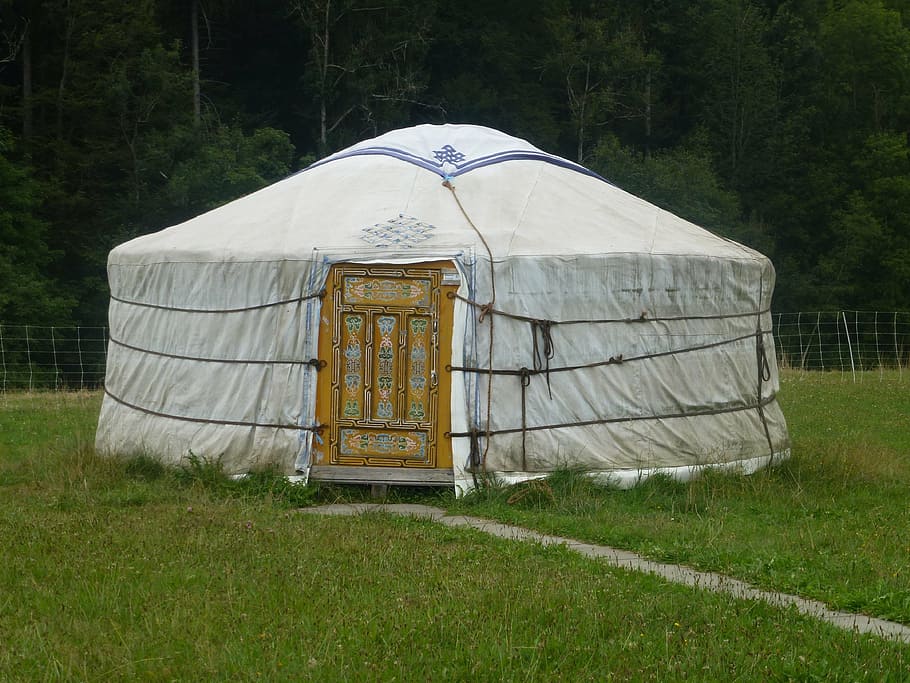 yurt, mongolia, nomadic life, steppe, home, live, plant, grass, land, field