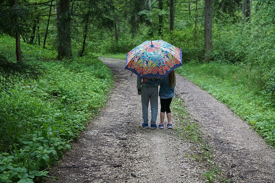 dois, pessoa, andando, estrada, exploração, floral, guarda-chuva, ao lado, verde, árvores