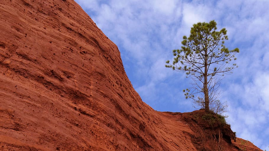 green, leaf tree, cliff, white, clouds, daytime, nature, tree, landscape, ochre rock