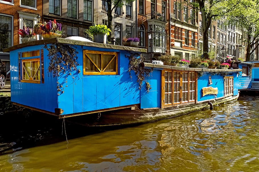 blue, brown, boat, barge, houseboat, canal, waterway, amsterdam, netherlands, holland