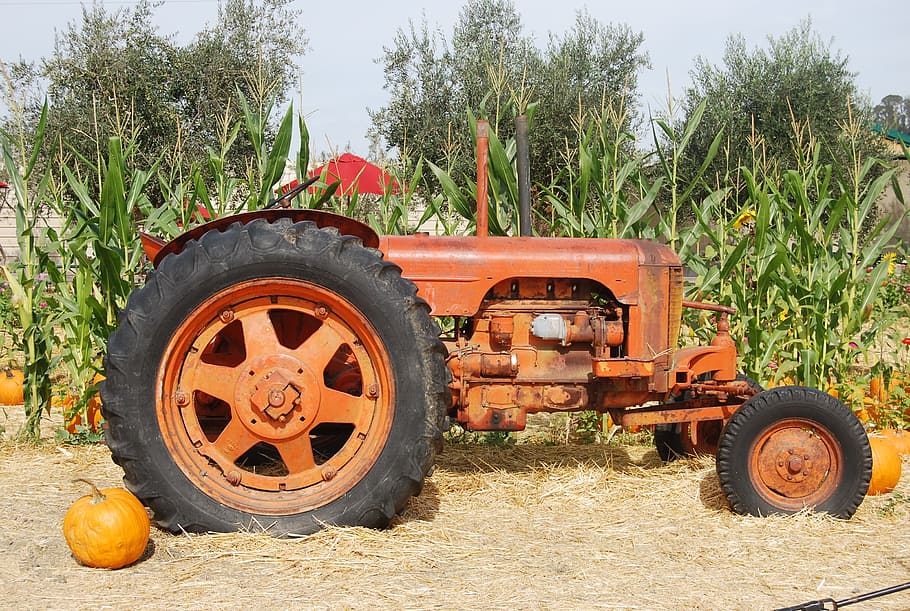 tractor, old tractor, farm equipment, farm, corn stalk, machine, farmland, machinery, agriculture, vintage
