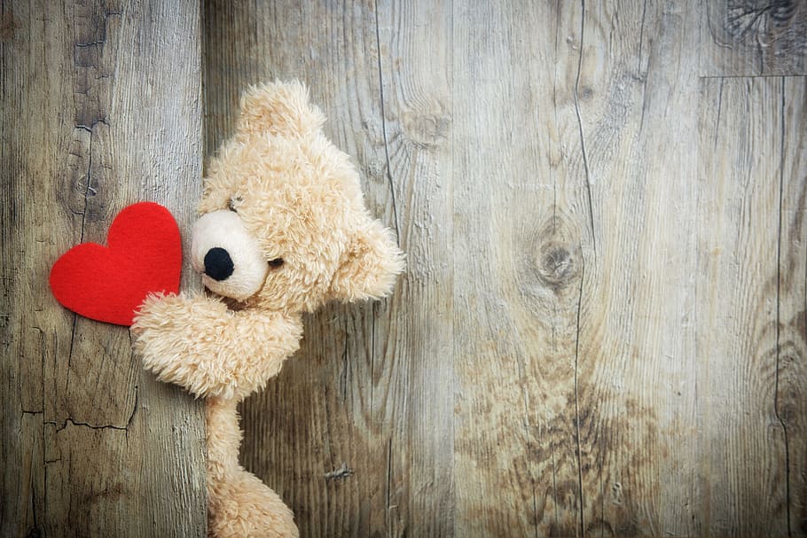 brown, bear, plush, toy, holding, red, heart ornament, heart, love, romance