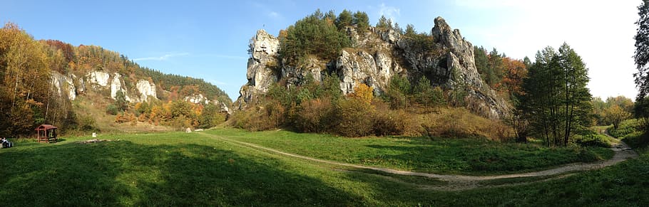 valleys near cracow, poland, autumn, nature, landscape, rocks, dolinka kobylańska, plant, tree, grass