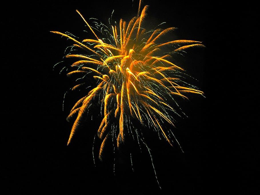 Fireworks, Celebration, Park, summer, celebration, park, outdoors, evening, japan, firework display, firework - man made object