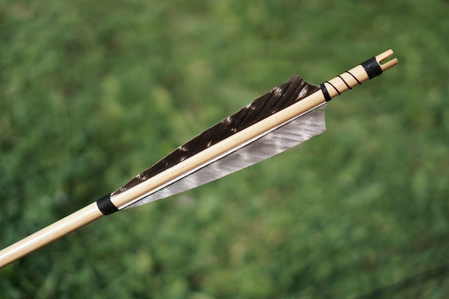 close, photography, brown, black, feather arrow, arrow, arrows, bow and arrow, archery, springs