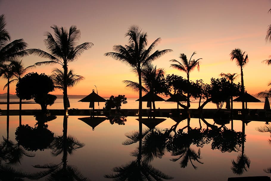 silhouette, palm trees, body, water, bali, sunset, travel, indonesia, swimming pool, holiday