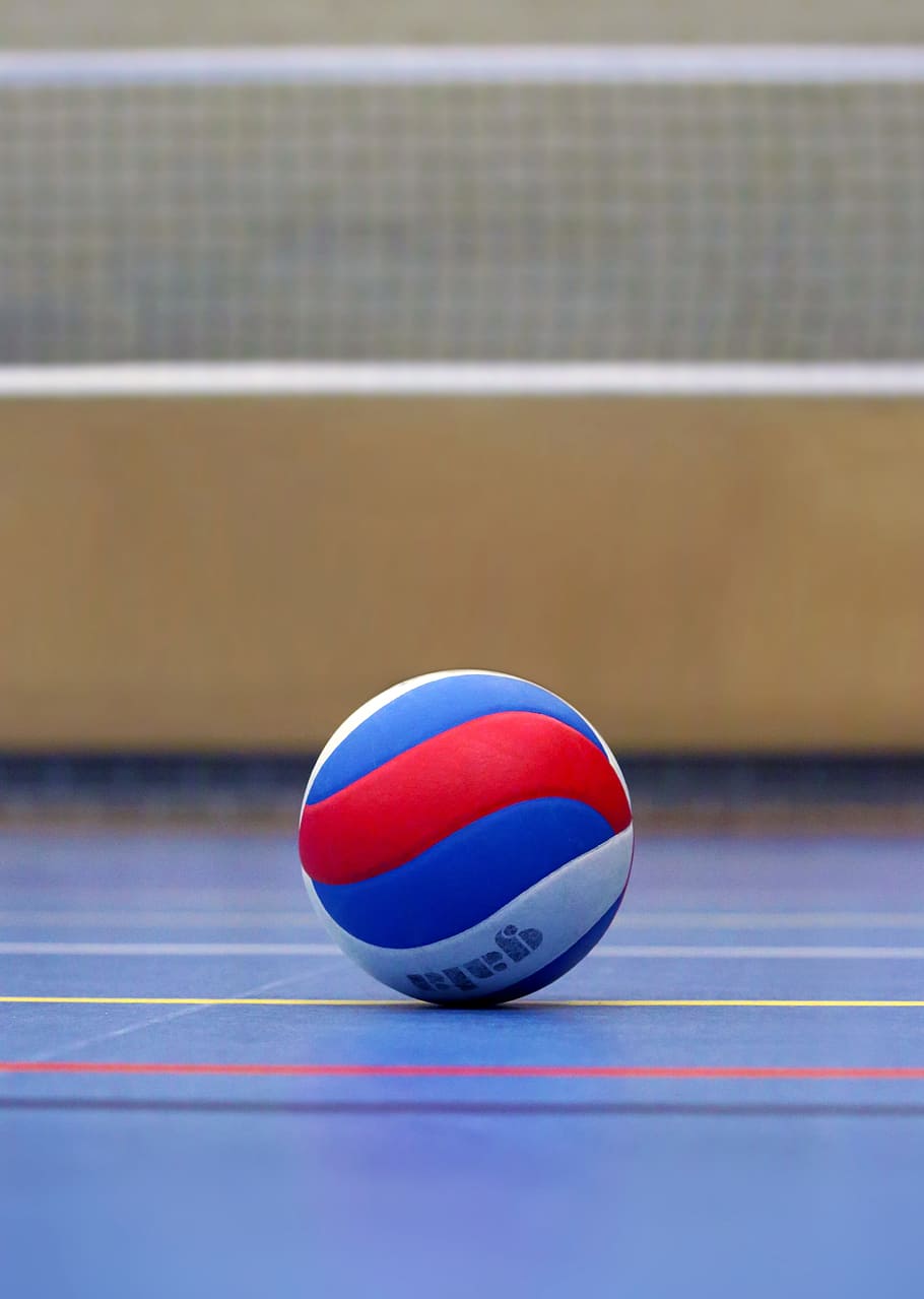 azul, blanco, rojo, pelota de voleibol, neto, suelo, voleibol, bola, campo, campo de voleibol