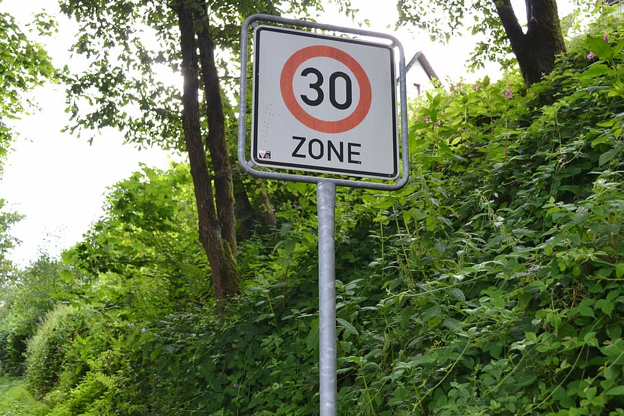 Shield, Speed, Limitation, Street Sign, speed limitation, zone 30, tree, day, road sign, outdoors