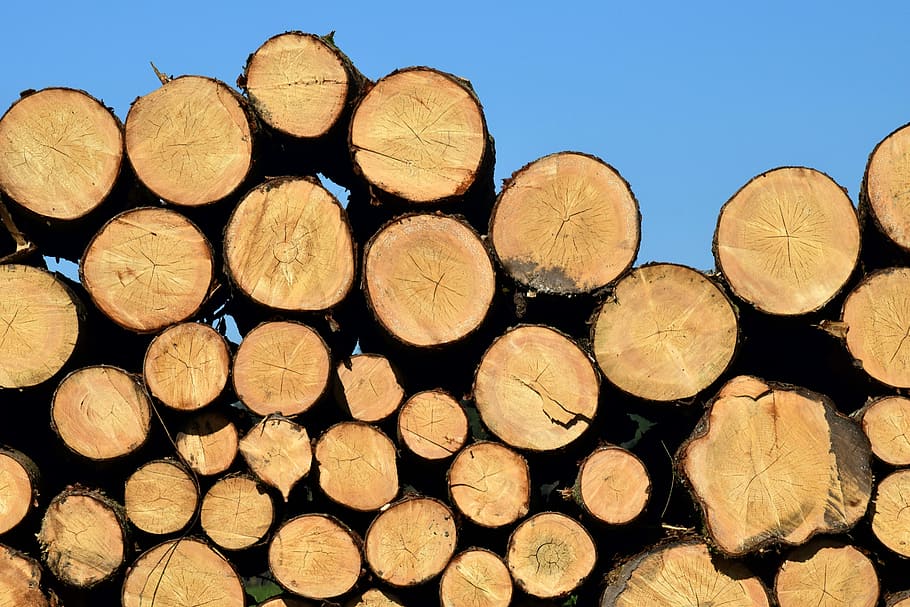 tumpukan, banyak pohon log, latar belakang, kayu bakar, suku, bagian, log, kayu, penyimpanan, tentang