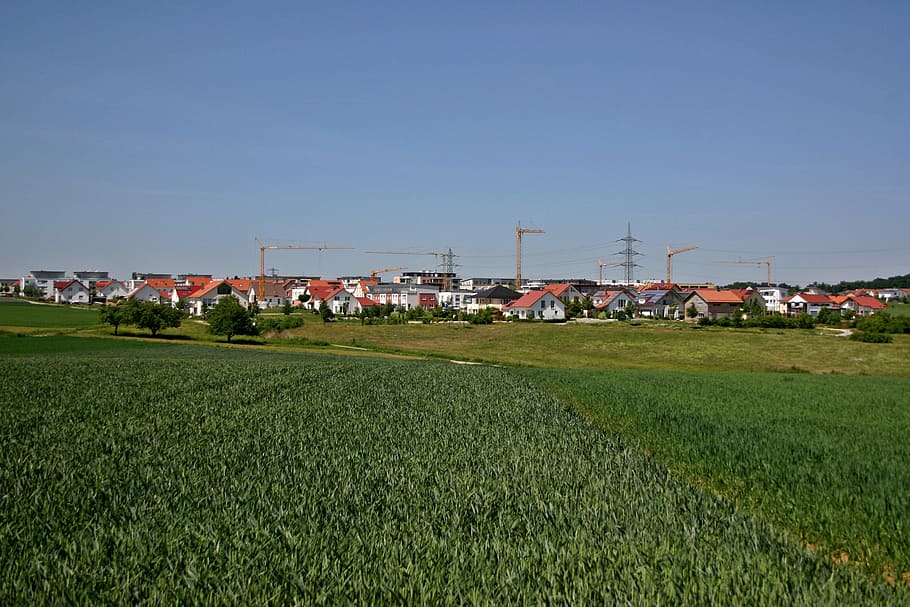 green grass field, development area, home, residential area, modern, city, real estate, live, settlement, rural