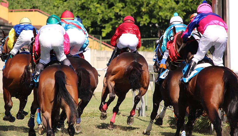 Horse Racing, Racing, Horse, Horse, Jockey, Mauritius, horse, jockey, domestic animals, horseback riding, competition, helmet