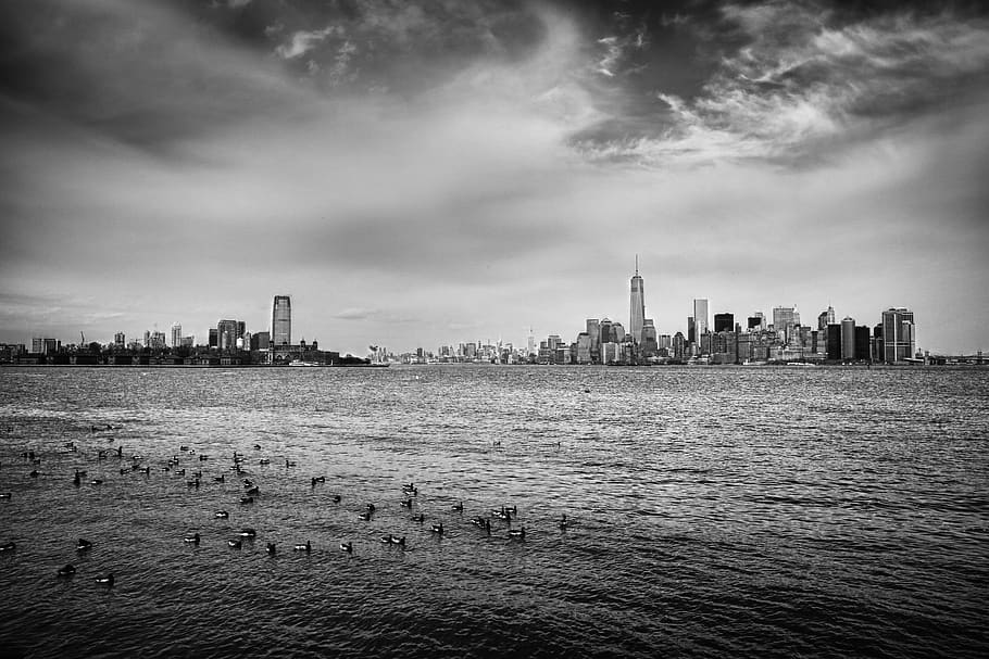 Nueva York, horizonte, edificios, ciudad, cielo, nubes, nublado, agua, pájaros, blanco y negro