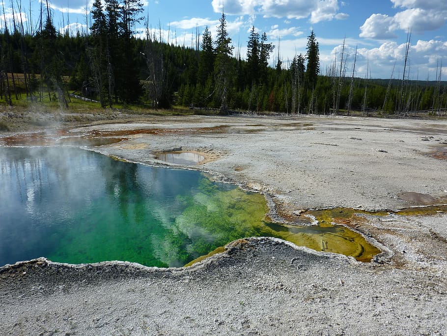 yellowstone, national, park, thermal spring, grand prismatic spring, yellowstone national park, wyoming, usa, pool, volcanism