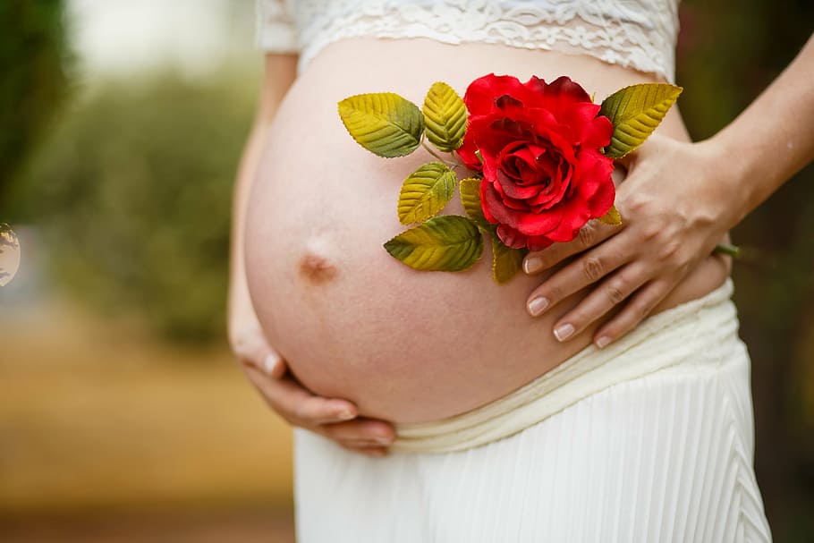 wanita, mengenakan, putih, rok, memegang, merah, mawar, wanita hamil, kehamilan, rosa