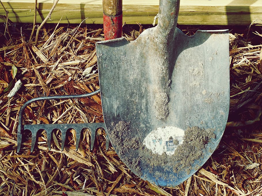 gray, shovel, rake, dirt, farm, garden, hand tools, handle, labor, metal