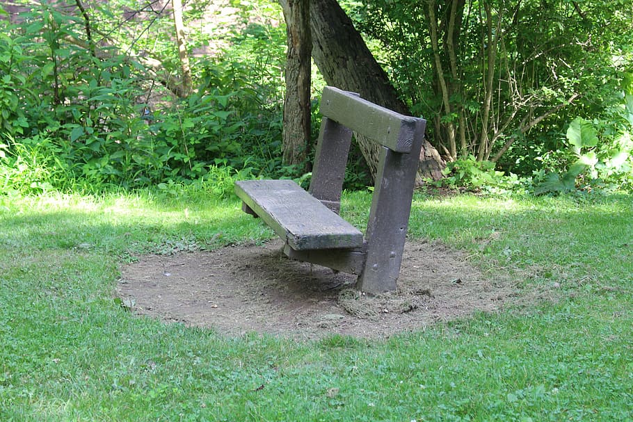 banco del parque, banco de madera, hierba, asiento, naturaleza, verde, al aire libre, tranquilo, paisaje, banco