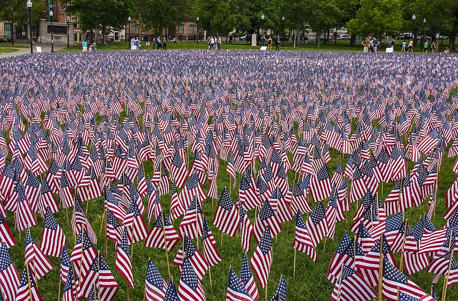 boston commons, parque, pessoas, torre, arquitetura, cidade, urbana, bandeiras, americana, dia memorial