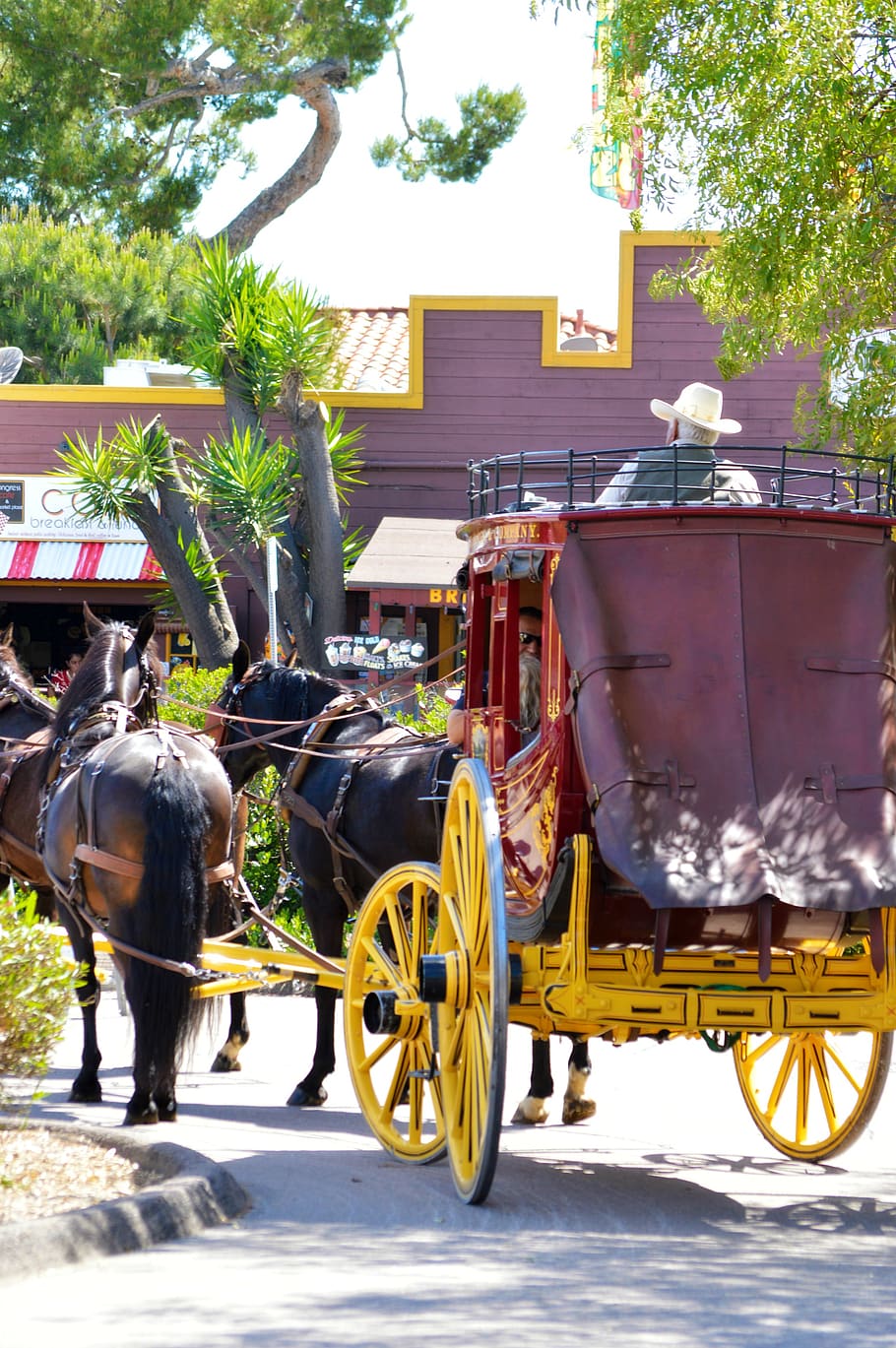 stagecoach, horse, western, old west, old california, nostalgia, vintage, team, animal, wagon