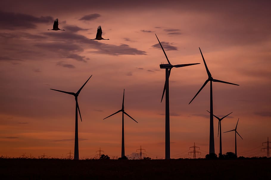 silhouette, two, geese, flying, windmills, Wind Park, Sunset, Birds, Wind Energy, sky