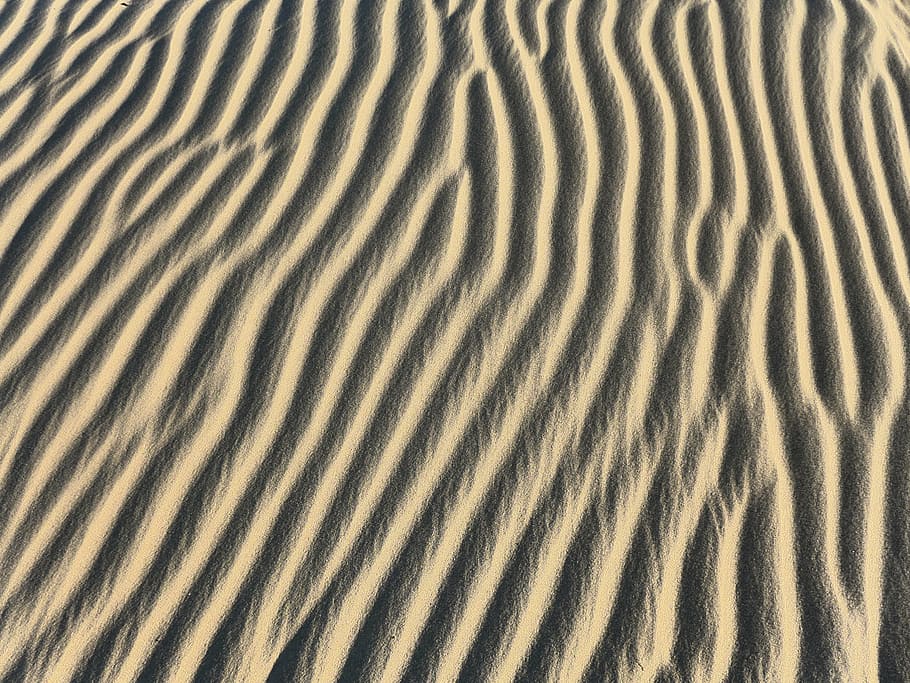 desierto, arena, duna, fondo, patrón, viento, playa, fotograma completo, ondulado, patrón de onda
