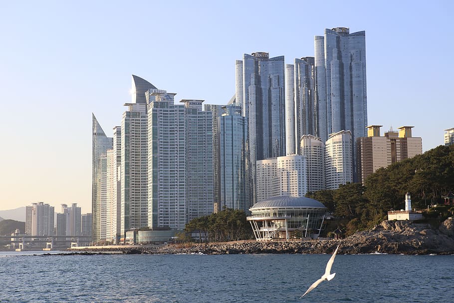 aéreo, fotografía, edificio de gran altura, durante el día, Haeundae Beach, Gaviota, Nuri, Pisos, pisos nuri, Corea