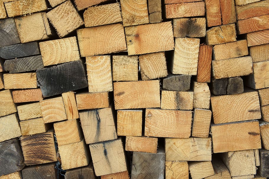 closeup, foto, tumpukan, kayu, log, kayu bakar, juga jelas merasakan, bahan bakar, zona tahunan, tanaman