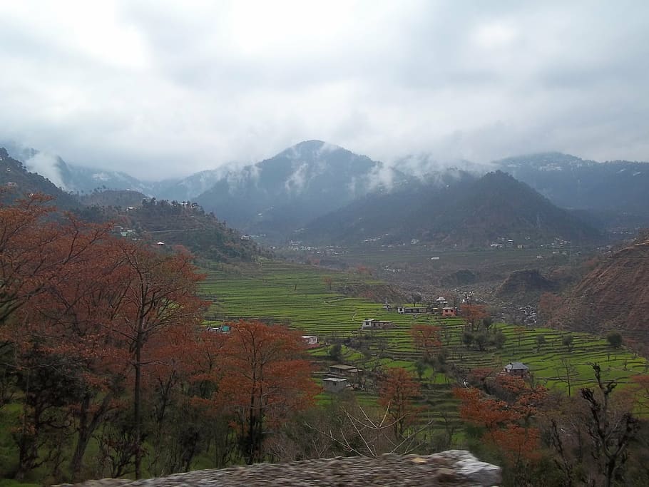 montaña, india, himalaya, nube, paisaje, colina, pintorescos - naturaleza, belleza en la naturaleza, medio ambiente, escena tranquila