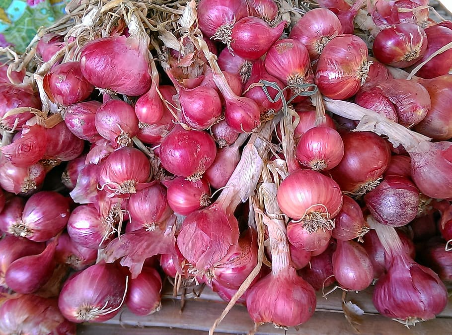 Red Onion, Vegetable, Food, onion, healthy, ingredient, diet, freshness, natural, vegetarian