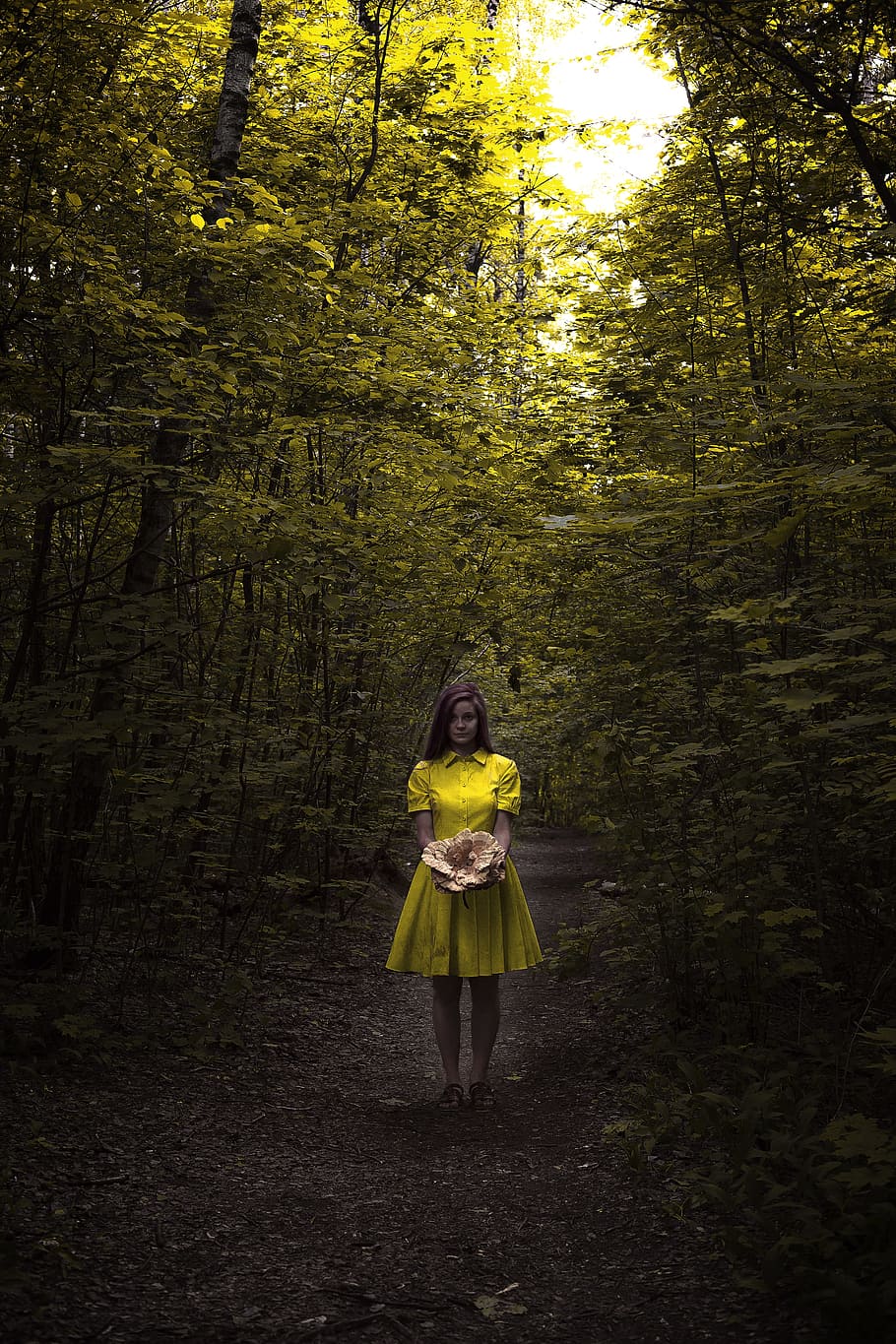 woman, wearing, yellow, button-up, collared, dress, holding, brown, mushroom, standing