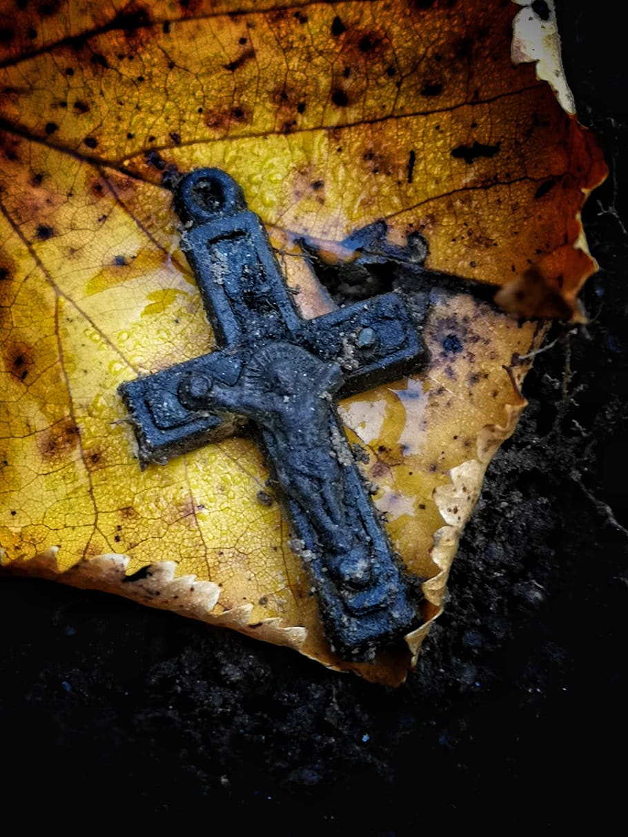crucifix, religion, religious, autumn, nature, detail, leaf, spiritual, church, historian
