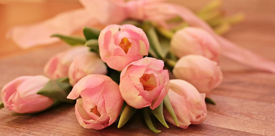 selective, focus photography, bouquet, pink, rose, flowers, tulips, tulipa, schnittblume, breeding tulip