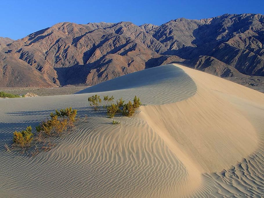 dunas, desierto, valle de la muerte, estados unidos, california, nevada, desierto de mojave, seco, caliente, paisaje