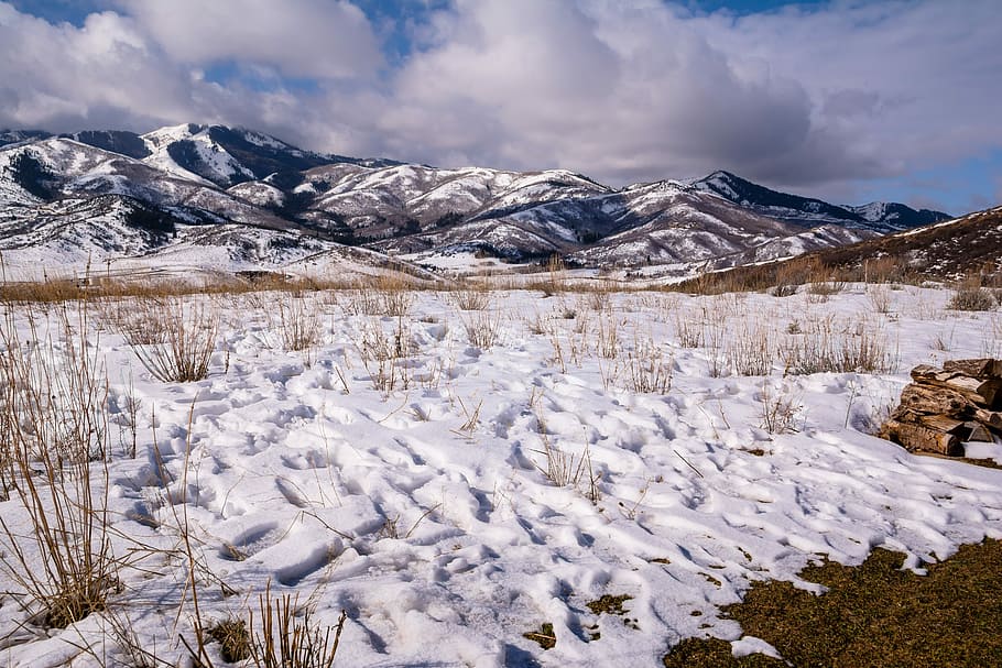Snow, Mountains, Utah, Landscape, Scenic, snow, mountains, alpine, scenery, winter, nature