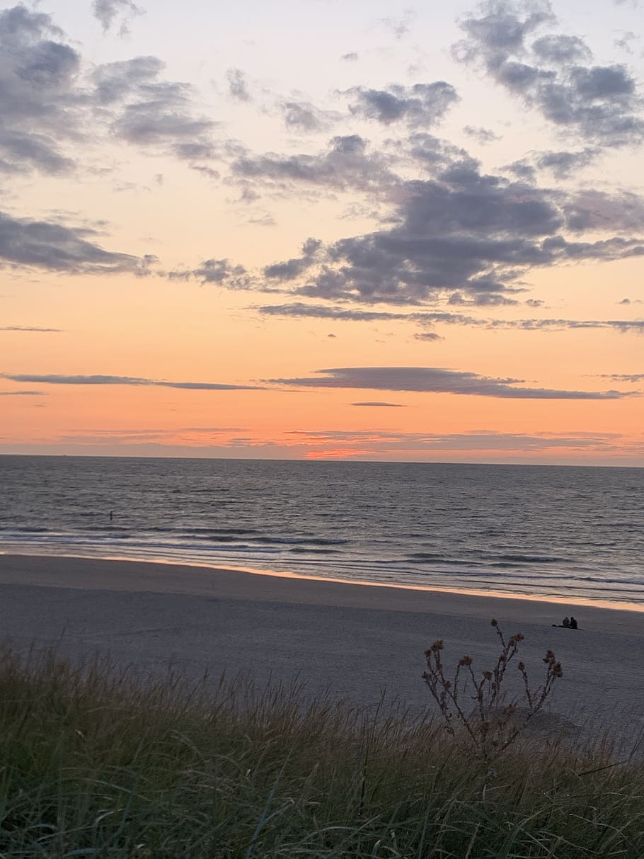 sea, coast, evening, sunset, holland, domburg, beach, dunes, sky, water