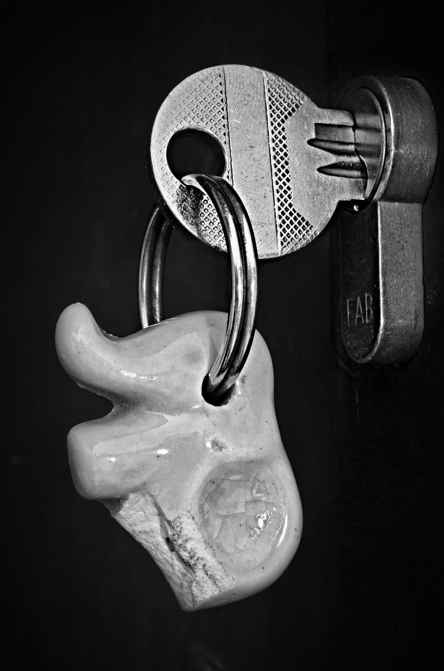 grayscale photo, gray, key, lock, bauble, elephant, castle, close-up, indoors, safety