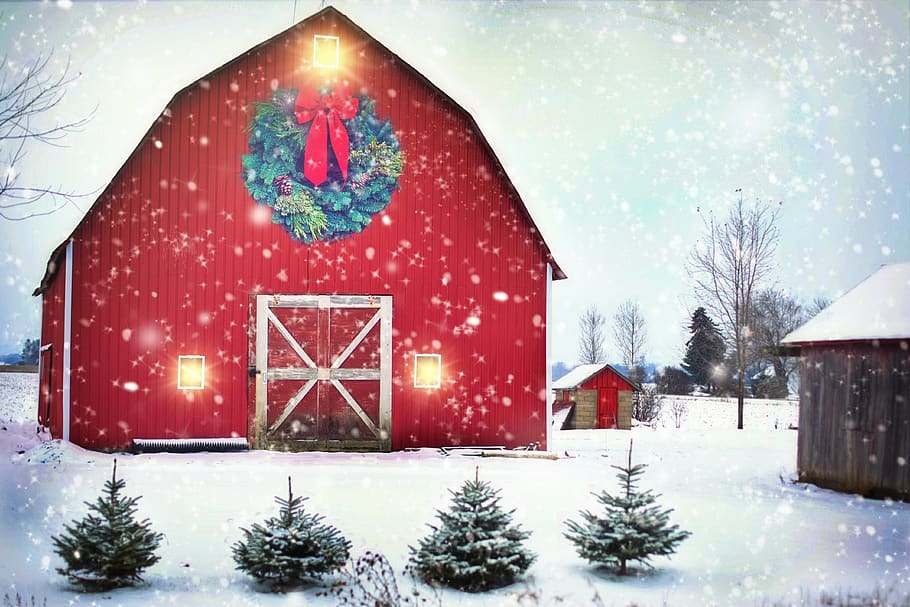 barn, red, christmas, wreath, farm, rural, landscape, holiday, winter, snow