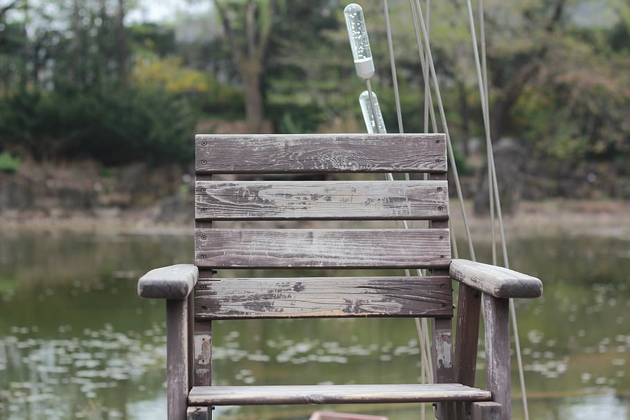 chair, i think, speculating, wood - material, focus on foreground, water, day, nature, lake, tree