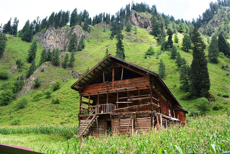 rumah kayu manis, hijau, Kashmir, pakistan, tanaman, pohon, arsitektur, warna hijau, struktur yang dibangun, tanah