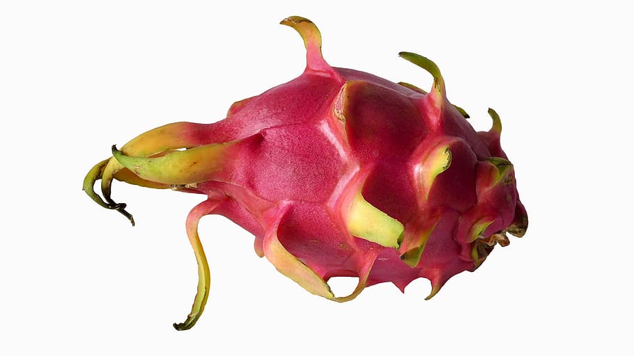 buah naga merah muda, Eksotis, Buah Naga, buah, buah eksotis, pitaya, vitamin, makanan, close-up, merah