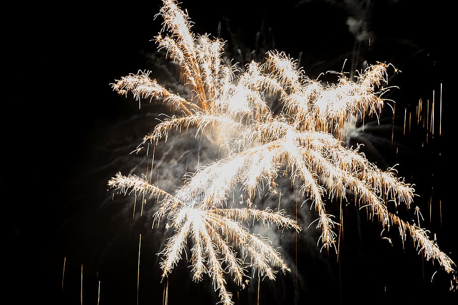 fireworks, switzerland, national day, explosion, night, celebration, firework - Man Made Object, firework Display, exploding, firework