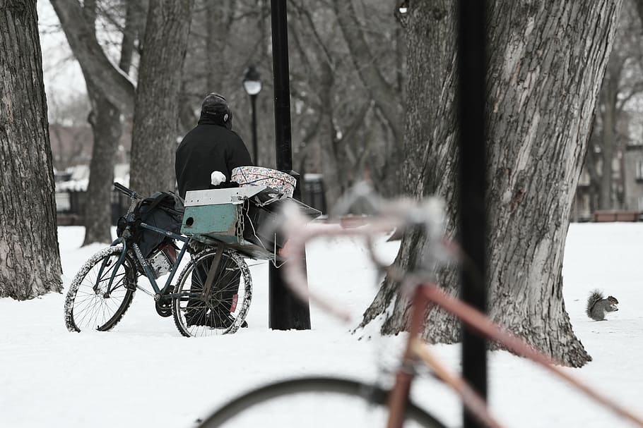 person, standing, tree, bicycle, man, black, snow, daytime, winter, cold