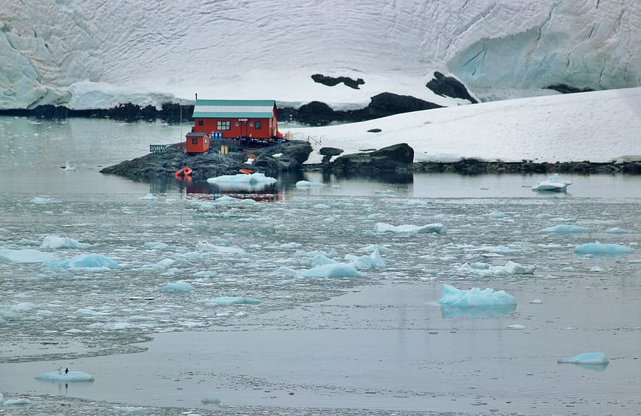 antarctica, glacier, ice, floating, chunks, landscape, ocean, research station, nature, icy