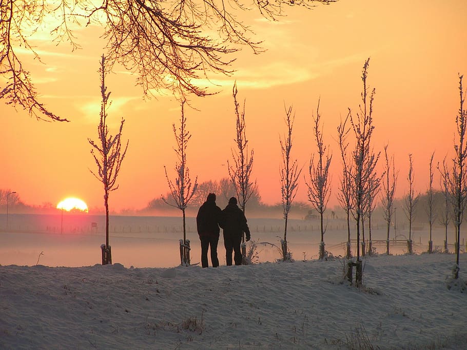 inverno, caminhadas, neve, gelo, Pôr do sol, céu, árvore, paisagens - natureza, beleza na natureza, pessoas reais
