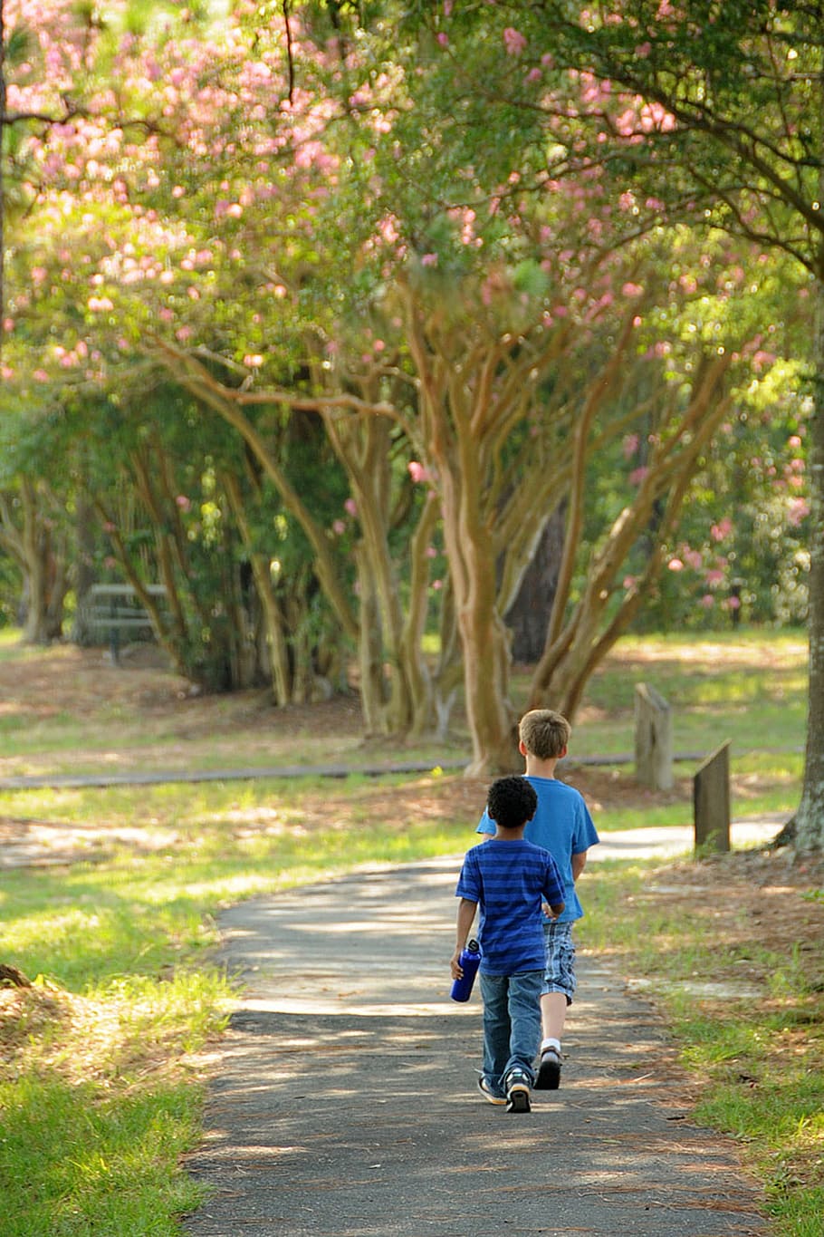 two, boys, walking, gray, soil, green, leafed, trees, daytime, walk
