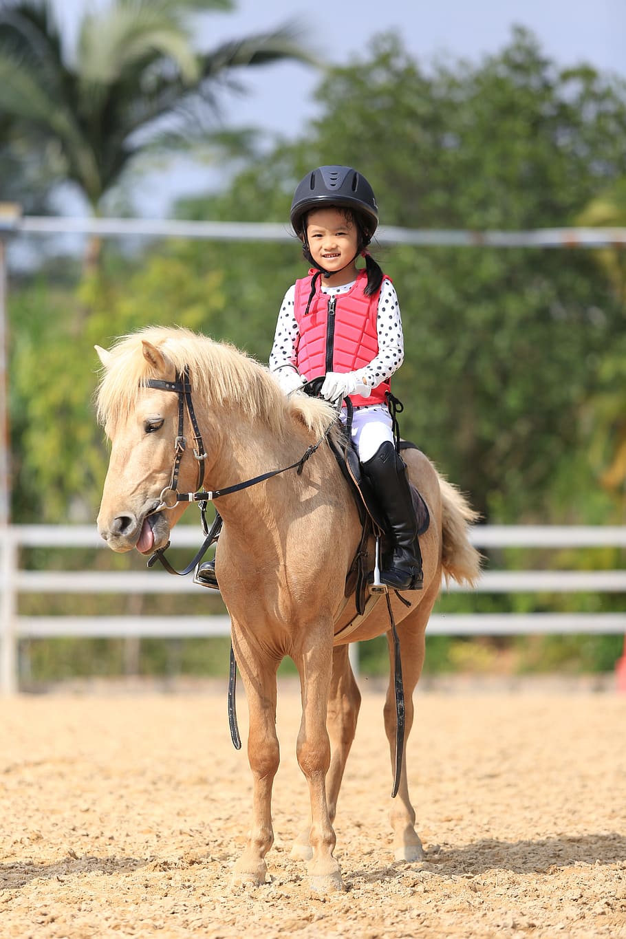 girl, riding, horse, child, equestrian, pony horse, domestic animals, domestic, livestock, pets