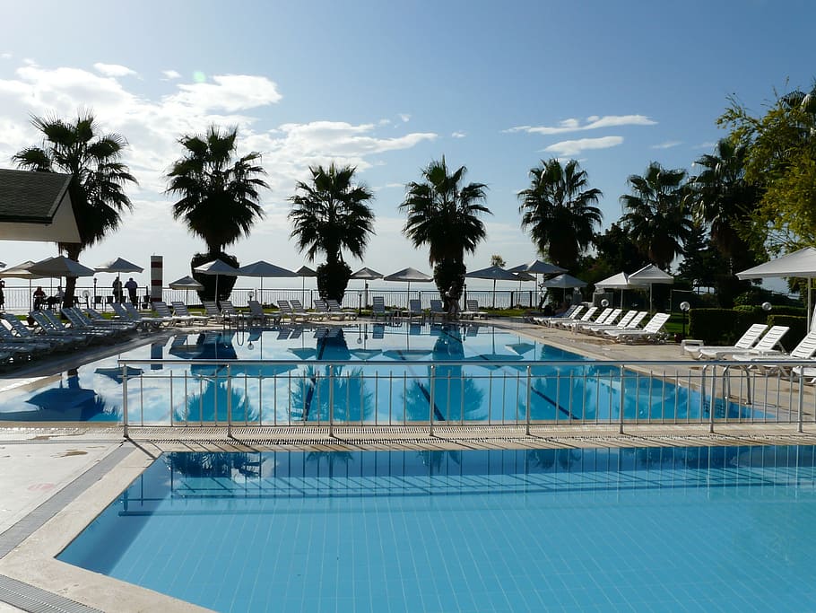 pool near plants, pool, schwimmungpool, water basin, hotel, hotel complex, frisch, water, swim, cooling
